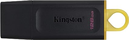 Kingston Exodia 128GB USB 3.2 Flash Drive DTX/128GB